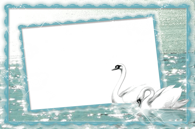 Imikimi White Swan at Lake Photo Frame