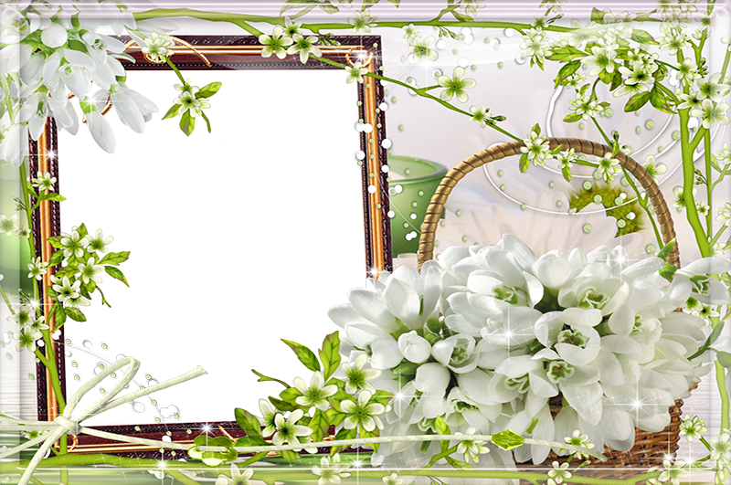 Imikimi White Flower Frame